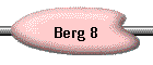 Berg 8