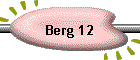 Berg 12